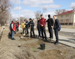 Фотографии